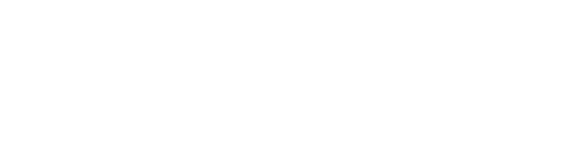 MVservice_Logotipo_2026_white
